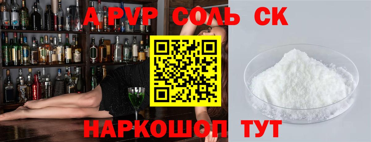 A PVP СК Новодвинск
