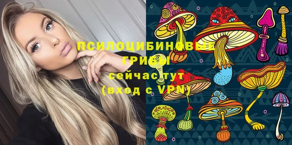эйфоретик Няндома