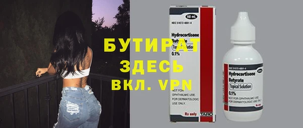 эйфоретик Няндома