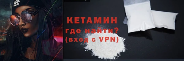эйфоретик Няндома