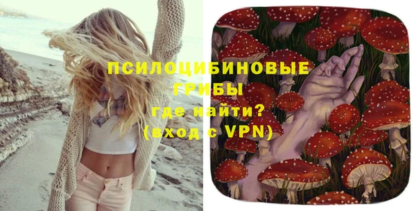 МДПВ Новодвинск