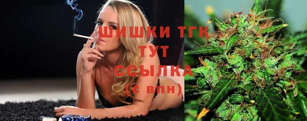 эйфоретик Няндома