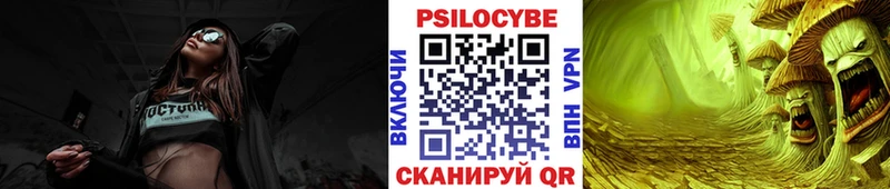 Псилоцибиновые грибы Psilocybine cubensis  Новодвинск 